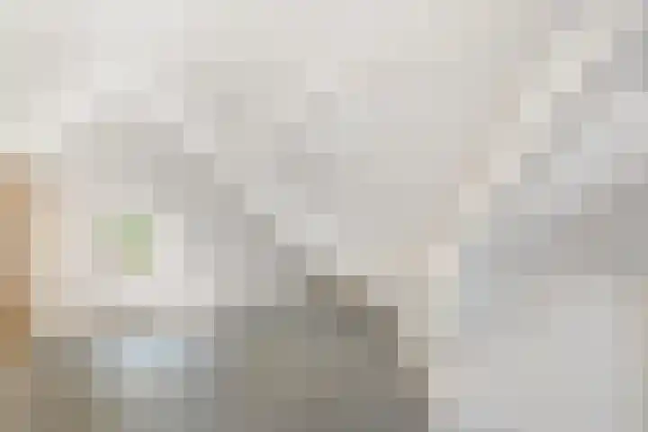 Julianaweg 436 Utrecht thumbnail 35