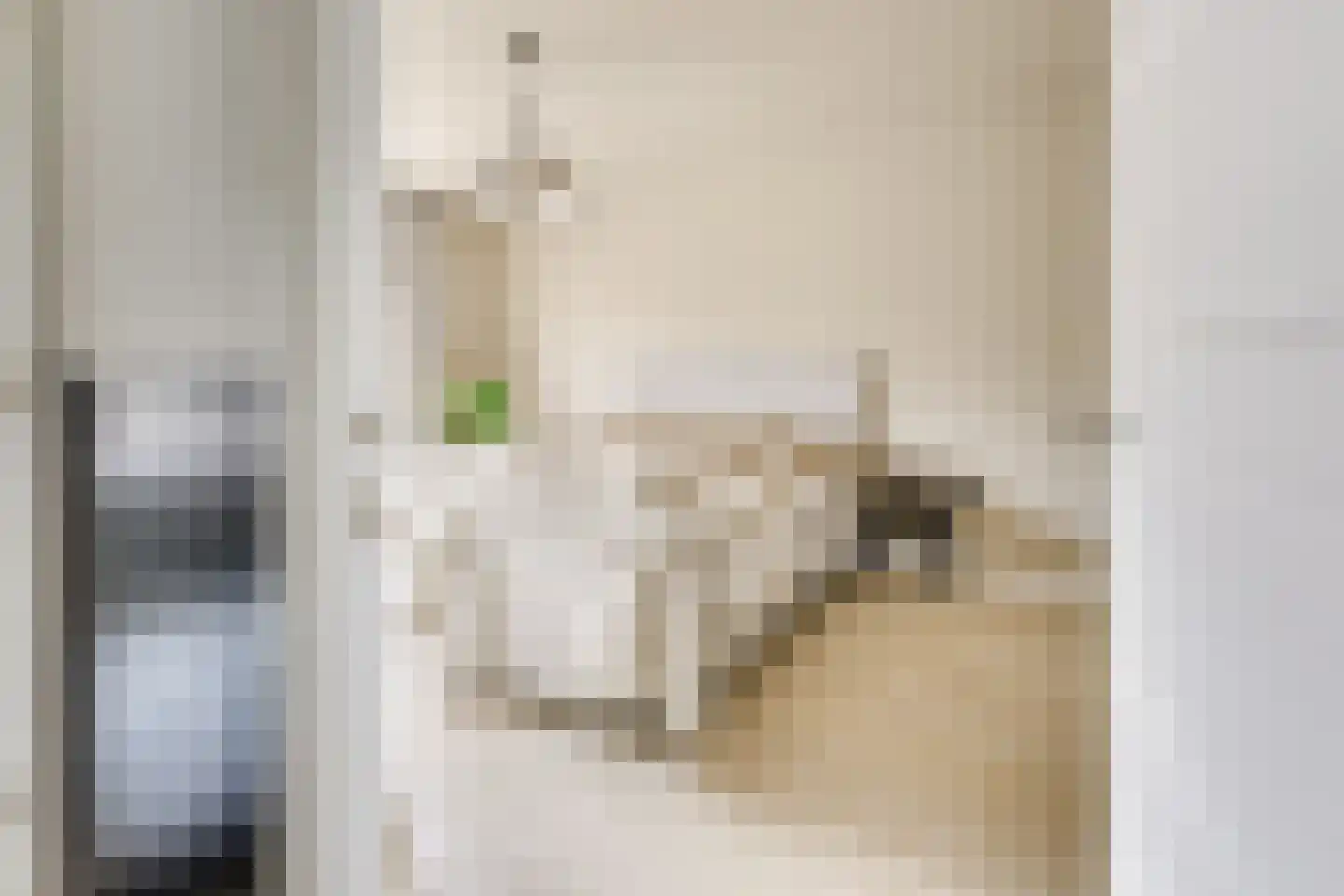 Julianaweg 436 Utrecht thumbnail 38