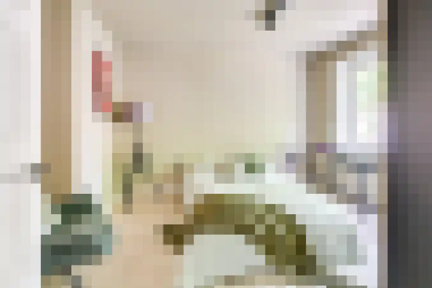 Julianaweg 436 Utrecht thumbnail 39