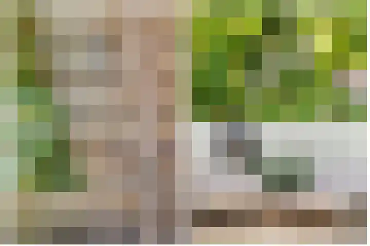 Julianaweg 436 Utrecht thumbnail 39
