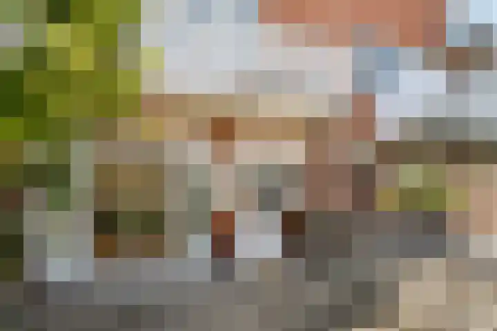 Julianaweg 436 Utrecht thumbnail 4