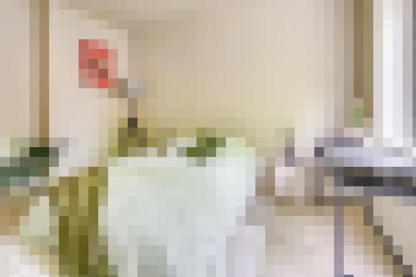 Julianaweg 436 Utrecht thumbnail 40