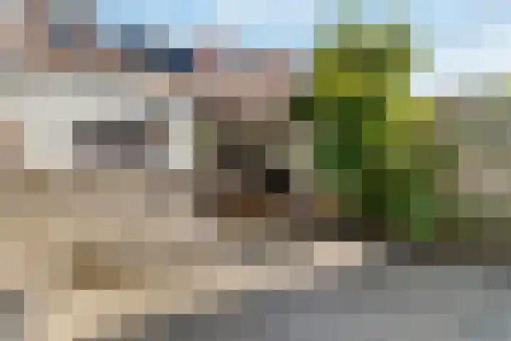Julianaweg 436 Utrecht thumbnail 40