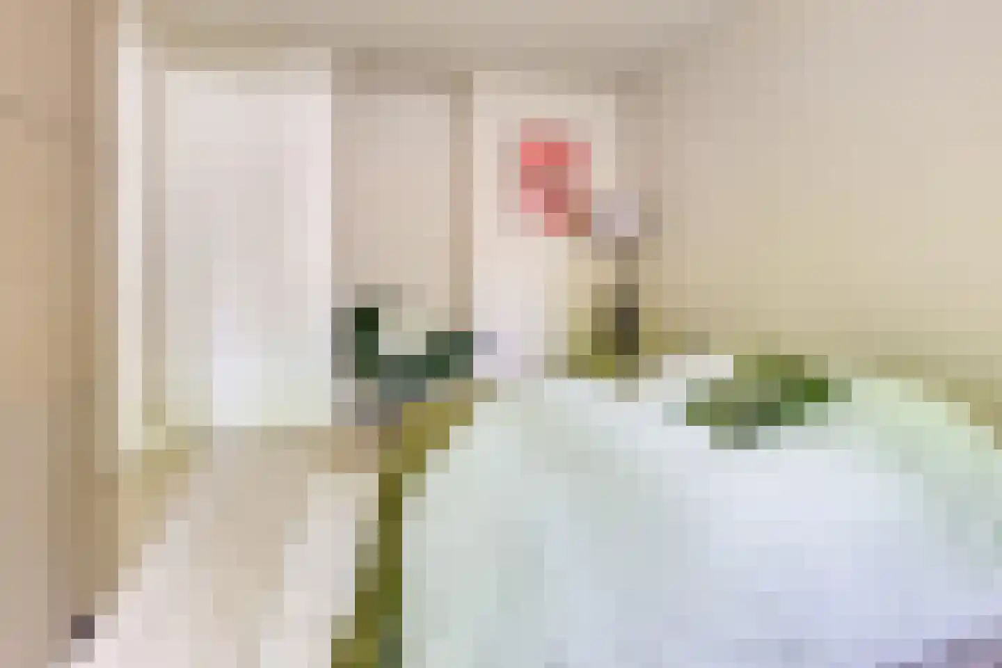 Julianaweg 436 Utrecht thumbnail 41