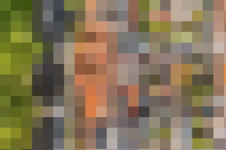 Julianaweg 436 Utrecht thumbnail 41