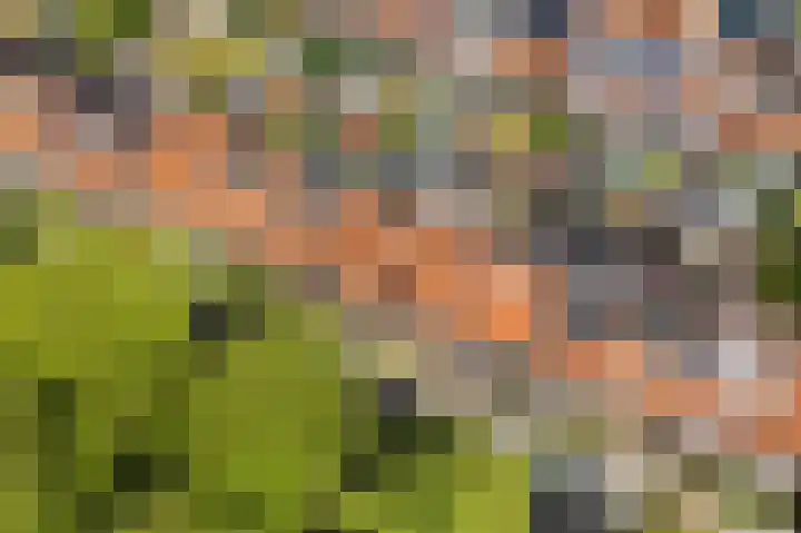 Julianaweg 436 Utrecht thumbnail 42