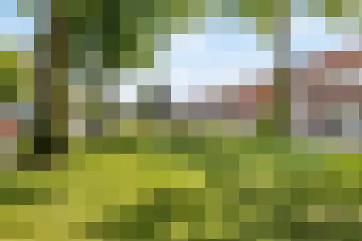 Julianaweg 436 Utrecht thumbnail 43