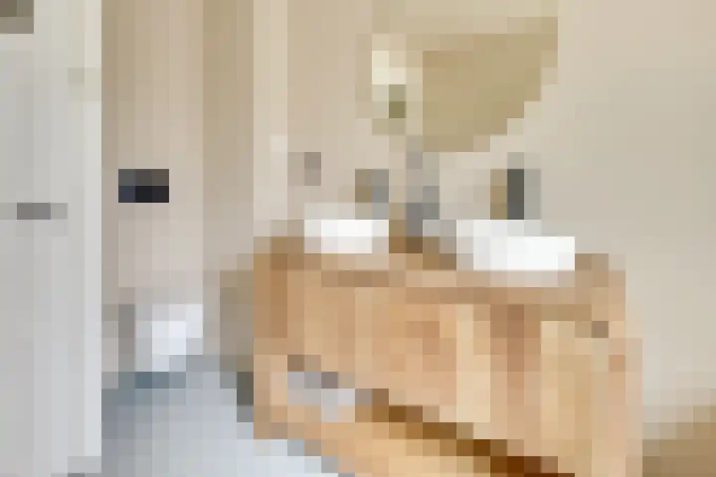 Julianaweg 436 Utrecht thumbnail 47