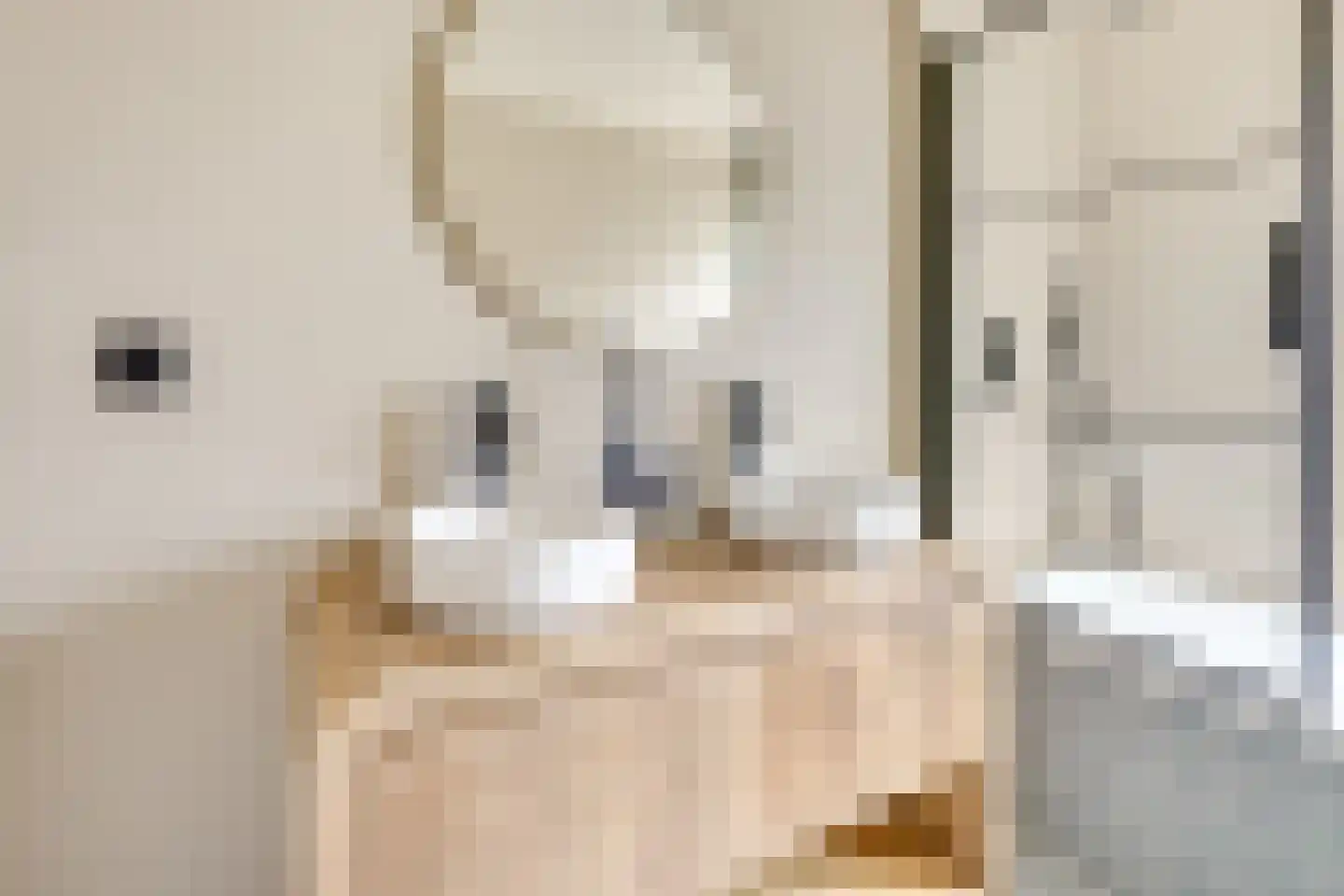 Julianaweg 436 Utrecht thumbnail 49
