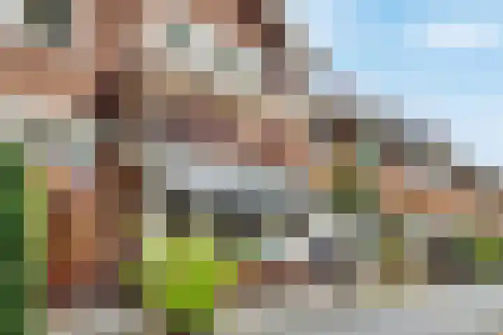 Julianaweg 436 Utrecht thumbnail 5