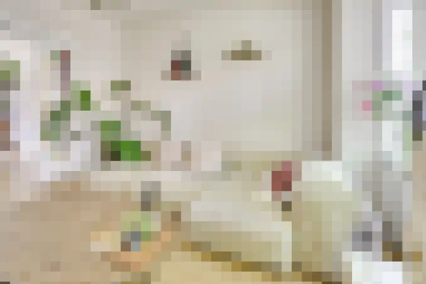 Julianaweg 436 Utrecht thumbnail 5
