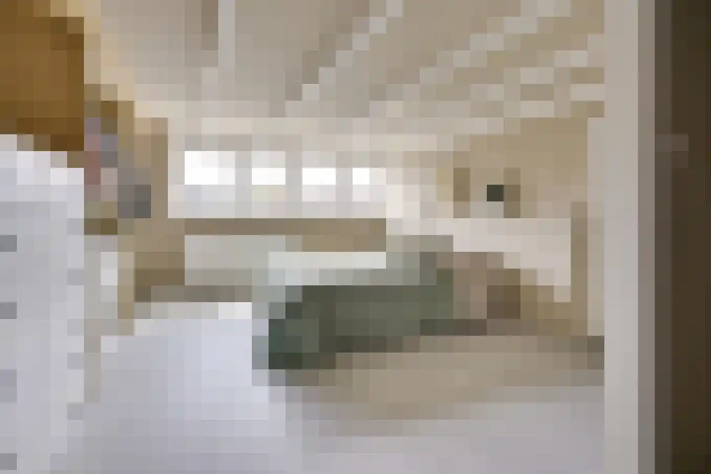 Julianaweg 436 Utrecht thumbnail 52