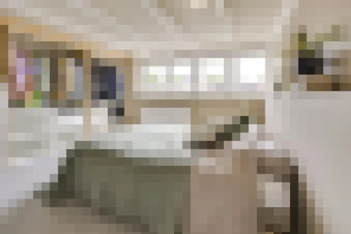 Julianaweg 436 Utrecht thumbnail 55