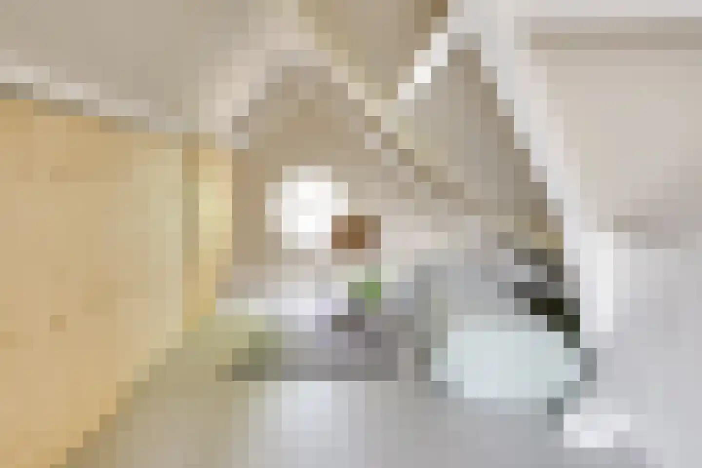 Julianaweg 436 Utrecht thumbnail 59