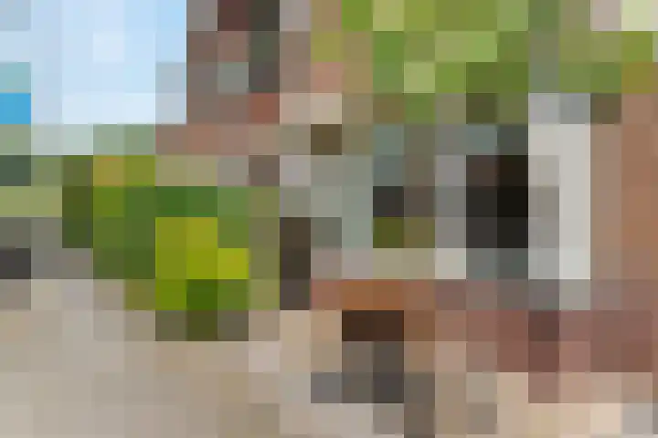 Julianaweg 436 Utrecht thumbnail 6