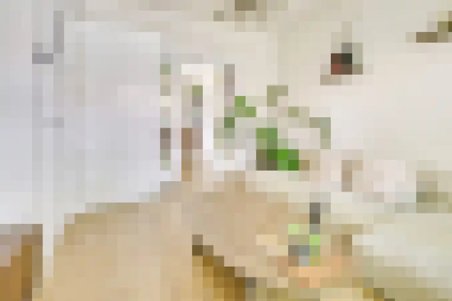 Julianaweg 436 Utrecht thumbnail 6