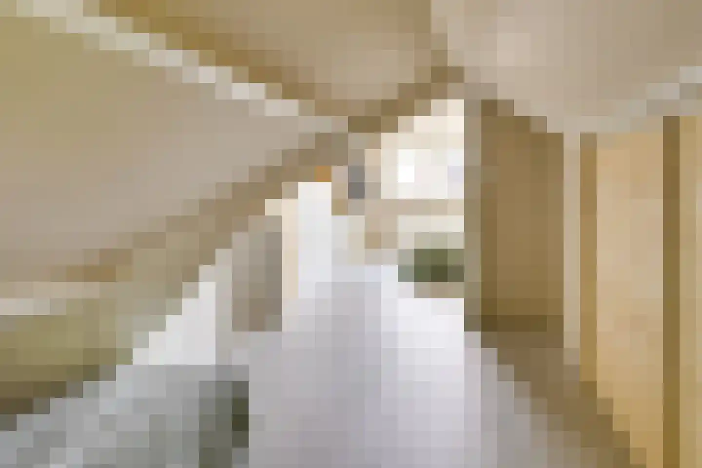 Julianaweg 436 Utrecht thumbnail 60