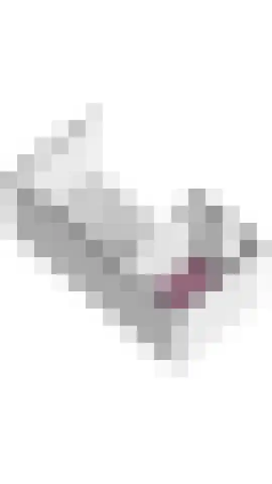 Julianaweg 436 Utrecht thumbnail 60