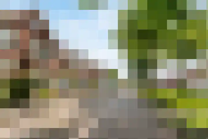 Julianaweg 436 Utrecht thumbnail 7