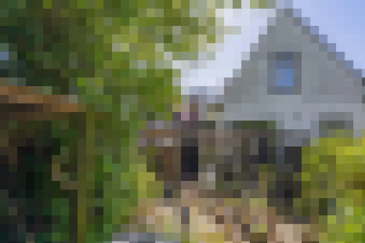 Julianaweg 5 Appingedam thumbnail 13