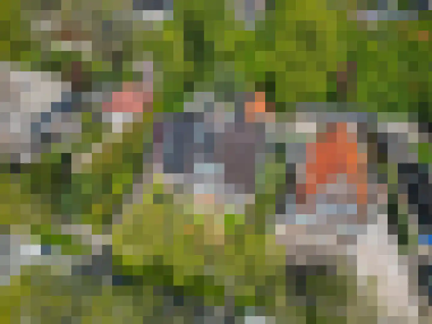 Julianaweg 5 Appingedam thumbnail 14