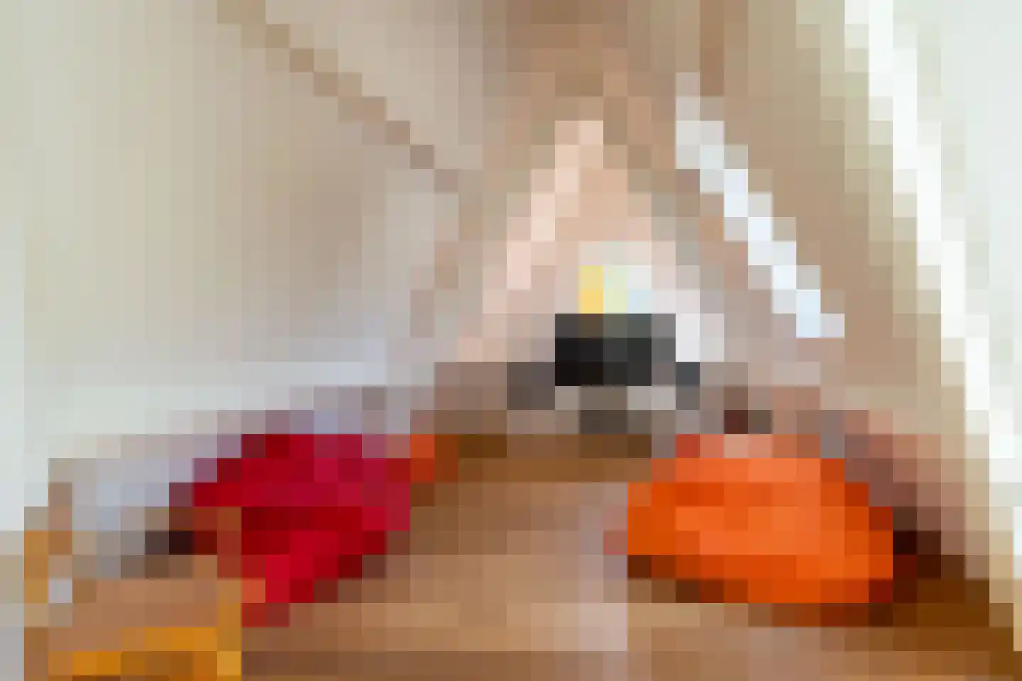Julianaweg 5 Wassenaar thumbnail 24