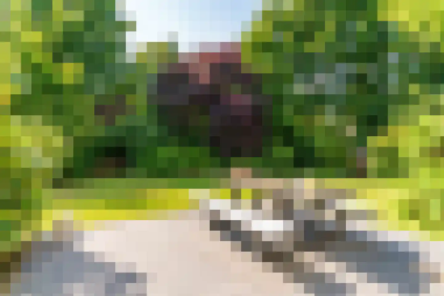 Julianaweg 5 Wassenaar thumbnail 29