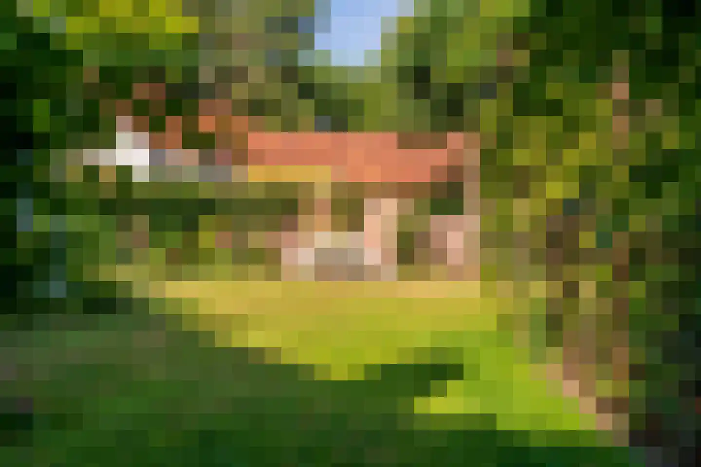 Julianaweg 5 Wassenaar thumbnail 30