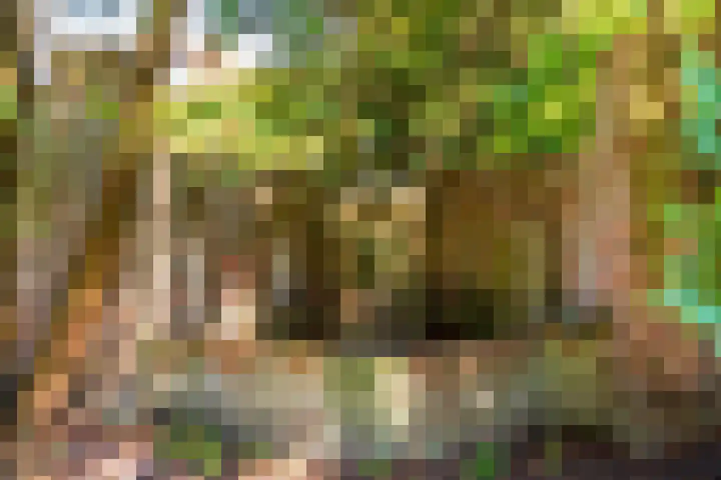 Julianaweg 5 Wassenaar thumbnail 31