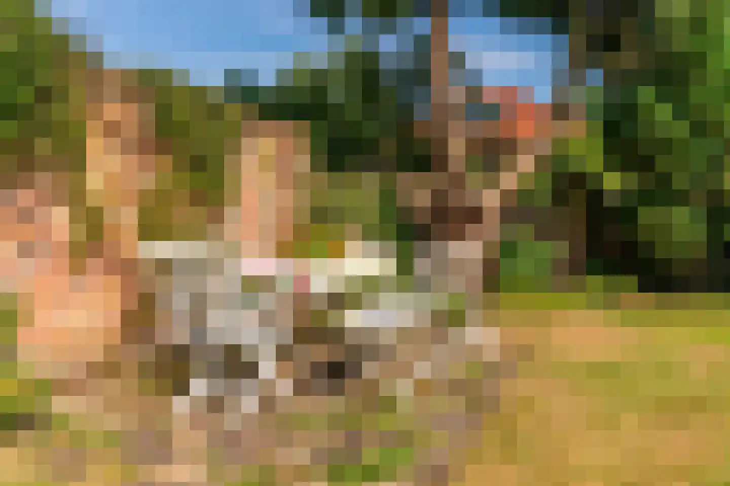 Julianaweg 5 Wassenaar thumbnail 33