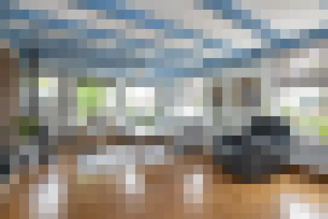 Julianaweg 51 Melissant thumbnail 14