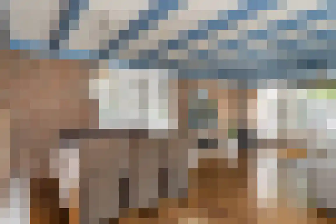 Julianaweg 51 Melissant thumbnail 15