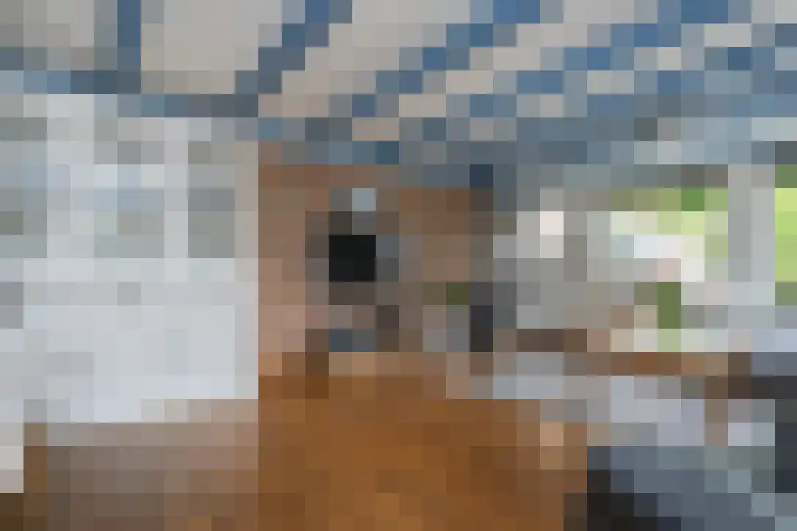 Julianaweg 51 Melissant thumbnail 16