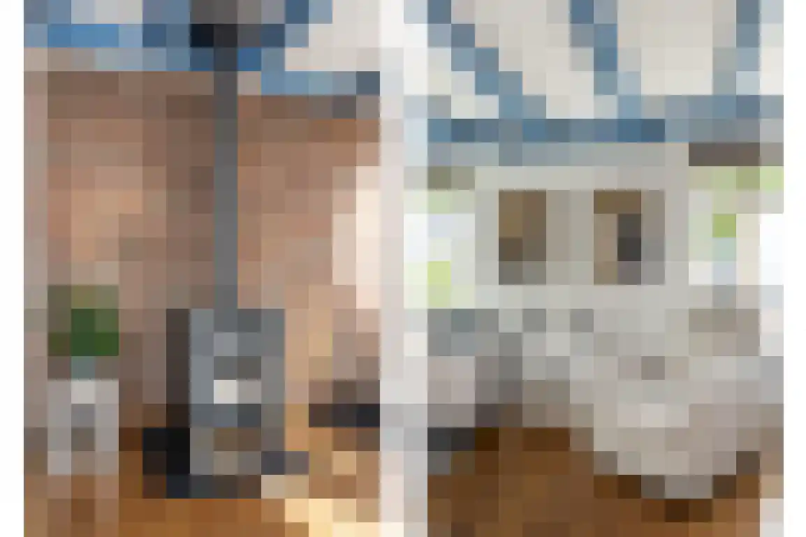 Julianaweg 51 Melissant thumbnail 16