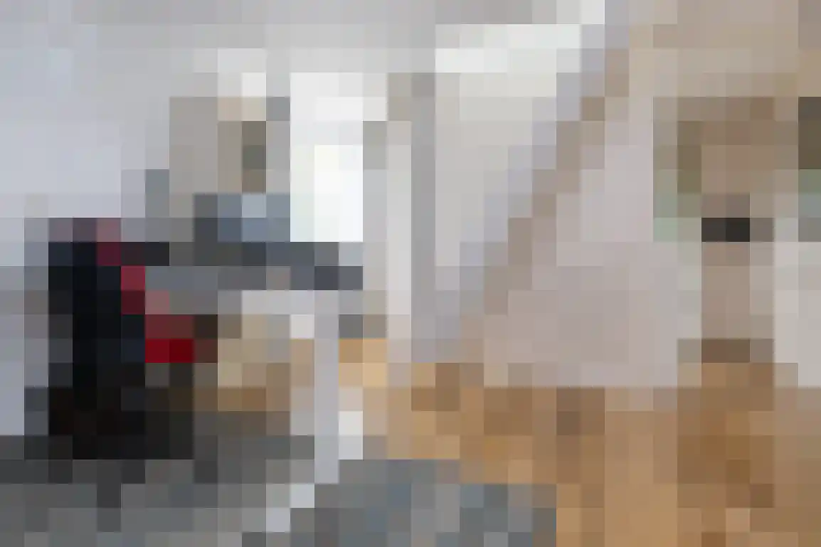 Julianaweg 51 Melissant thumbnail 20