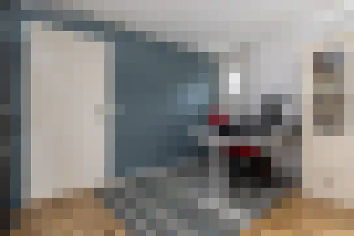 Julianaweg 51 Melissant thumbnail 21