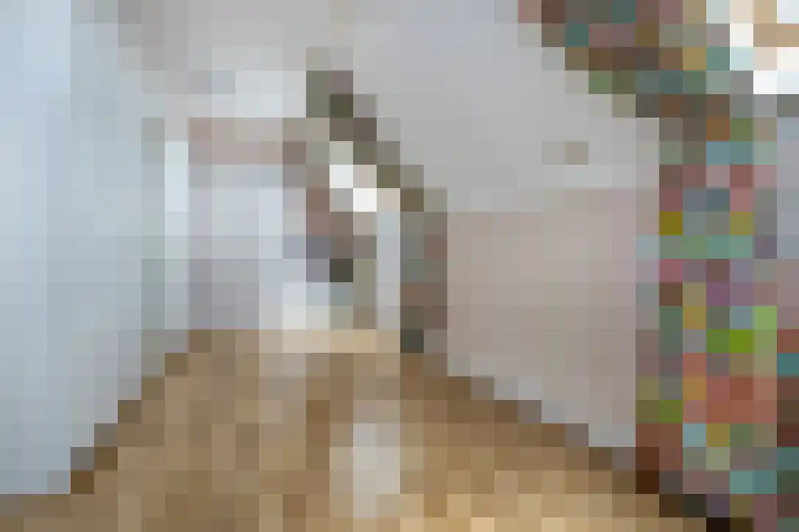 Julianaweg 51 Melissant thumbnail 24