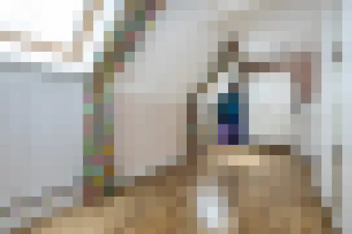 Julianaweg 51 Melissant thumbnail 25