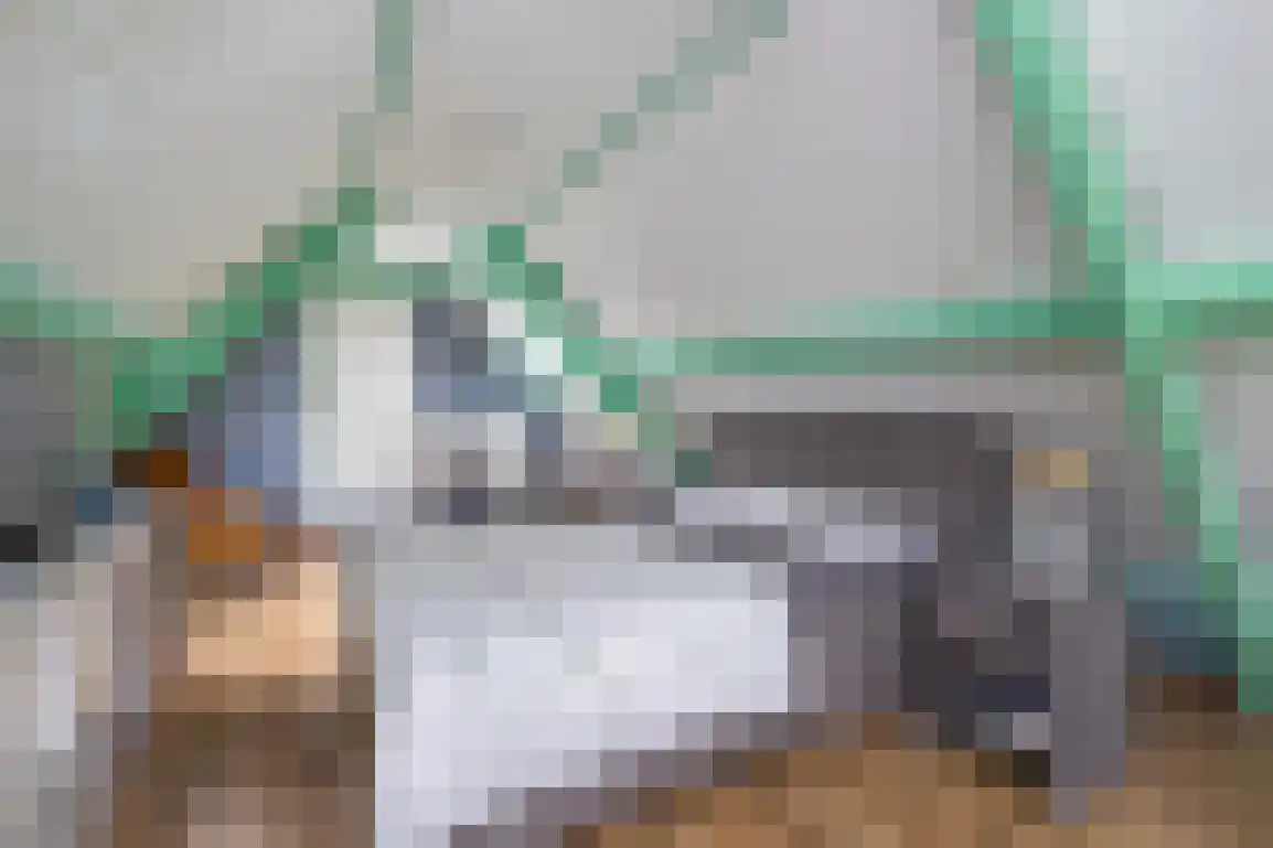 Julianaweg 51 Melissant thumbnail 26