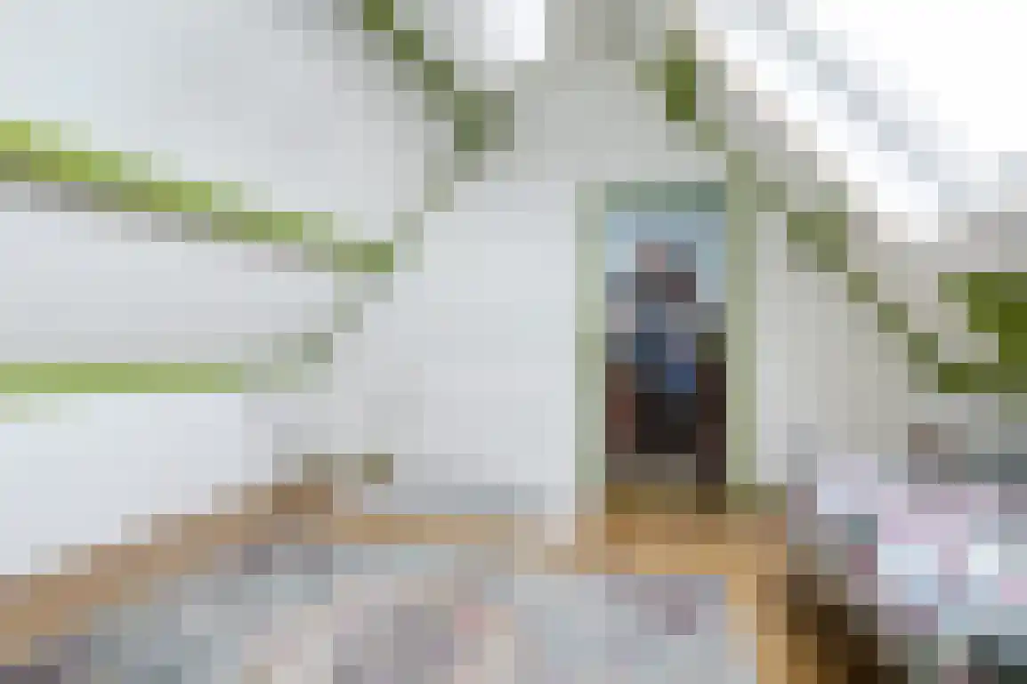 Julianaweg 51 Melissant thumbnail 34