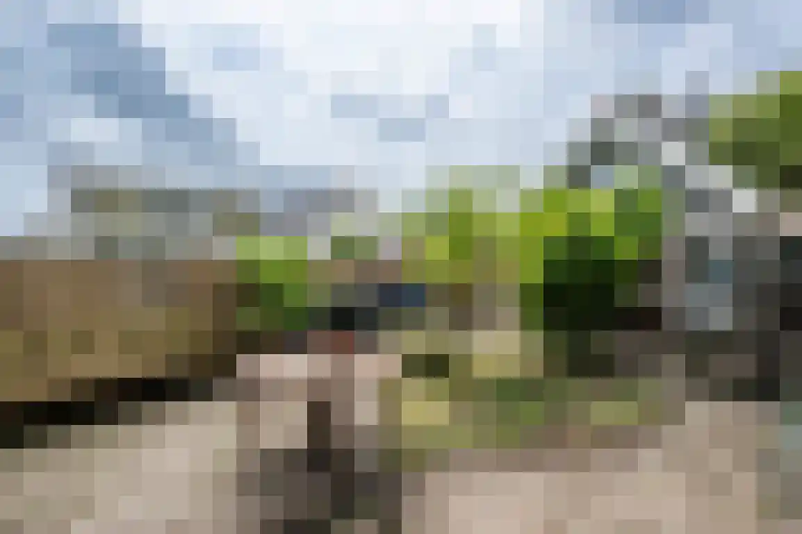 Julianaweg 51 Melissant thumbnail 35