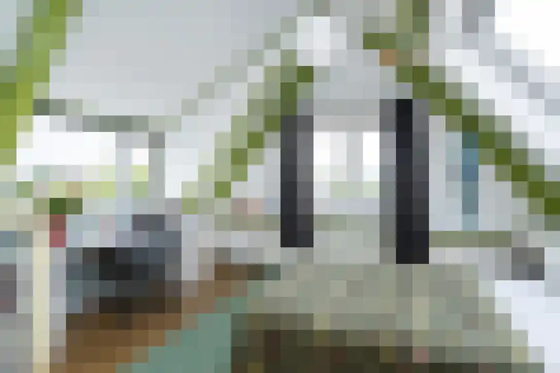 Julianaweg 51 Melissant thumbnail 35