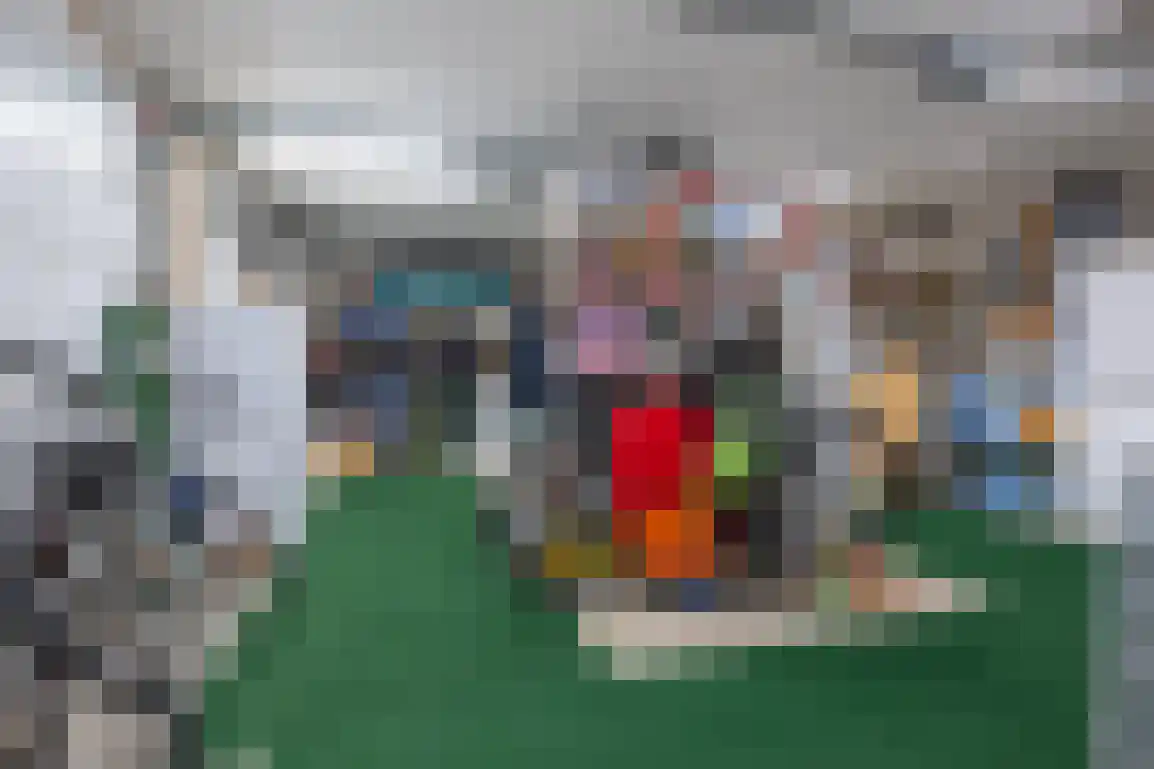 Julianaweg 51 Melissant thumbnail 35