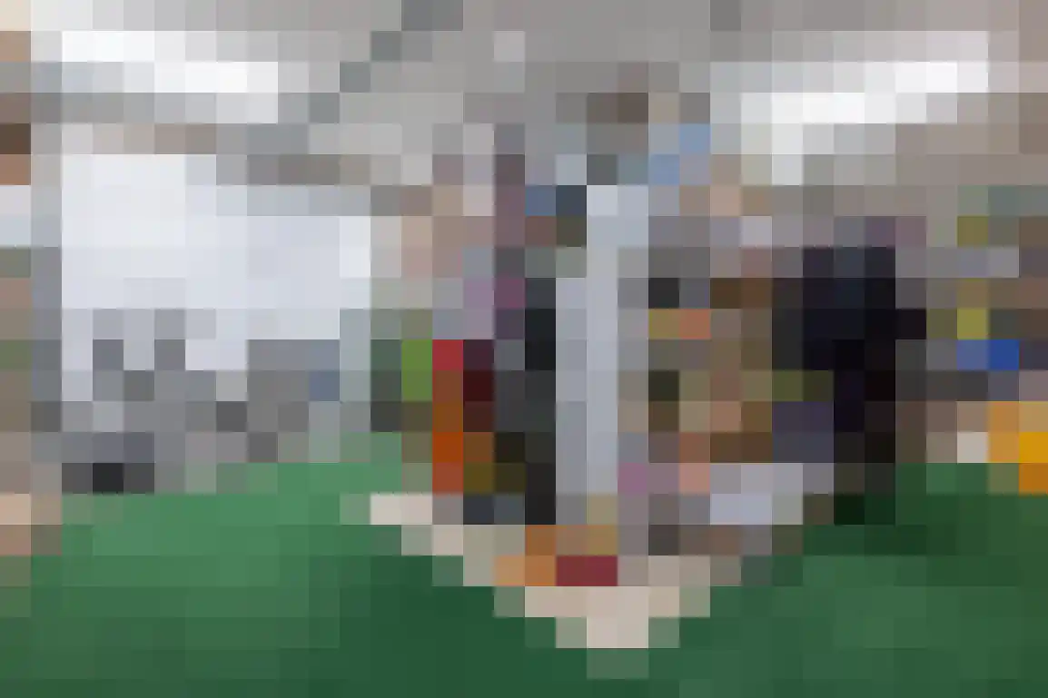 Julianaweg 51 Melissant thumbnail 36