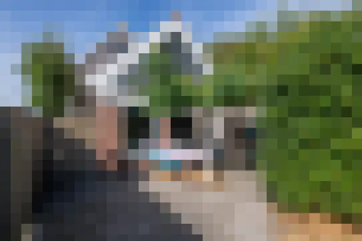 Julianaweg 51 Melissant thumbnail 37