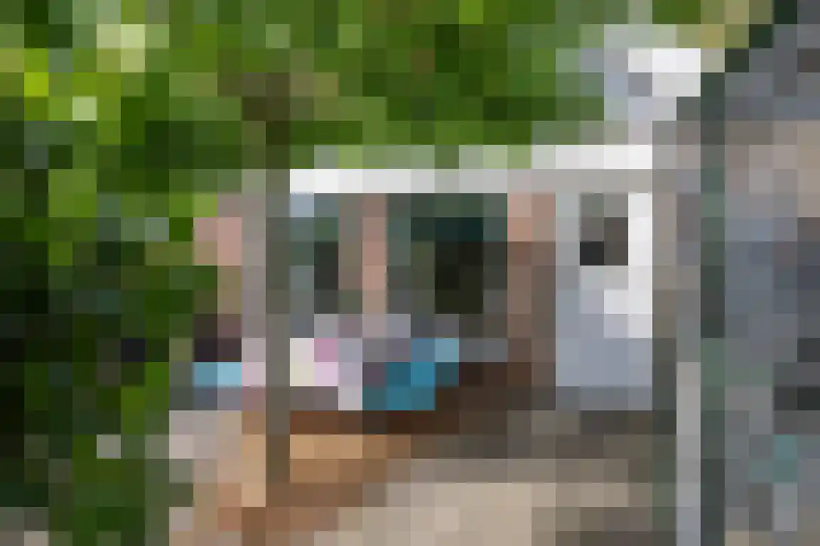 Julianaweg 51 Melissant thumbnail 38