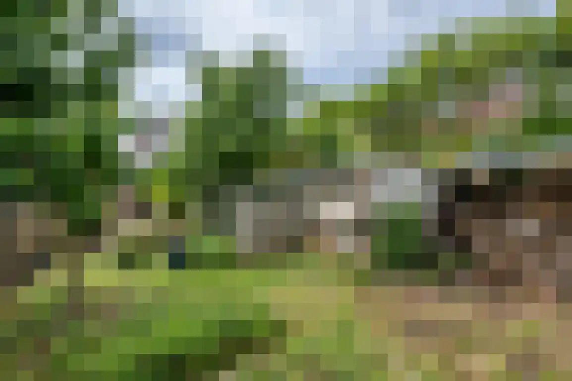 Julianaweg 51 Melissant thumbnail 38