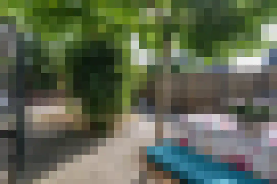 Julianaweg 51 Melissant thumbnail 39