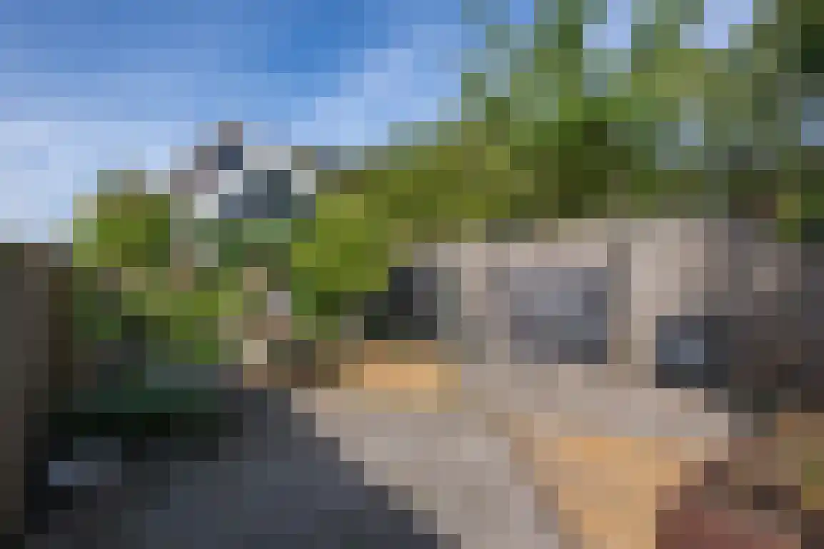 Julianaweg 51 Melissant thumbnail 40