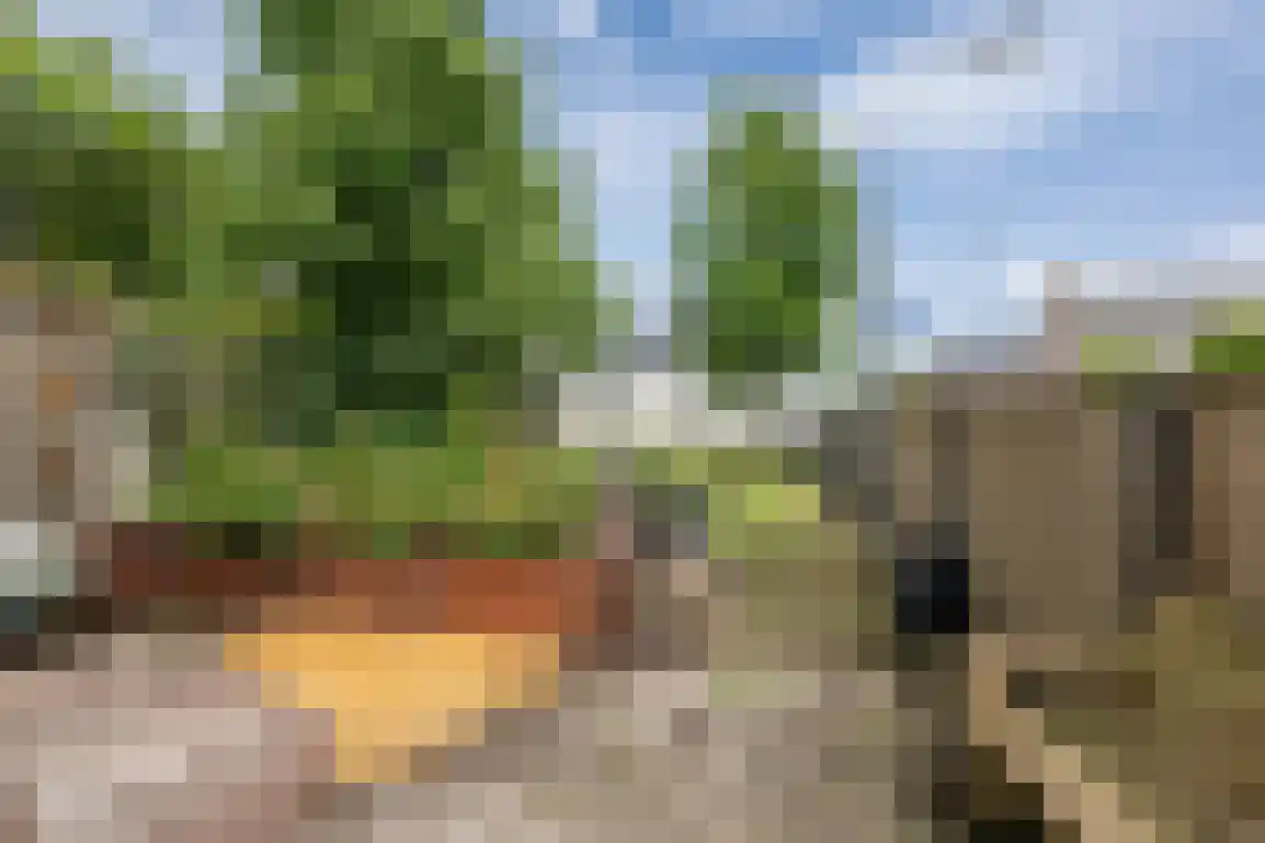 Julianaweg 51 Melissant thumbnail 41